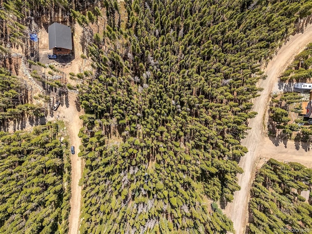 114 Elk Cir, Idaho Springs, CO 80452 - photo 12