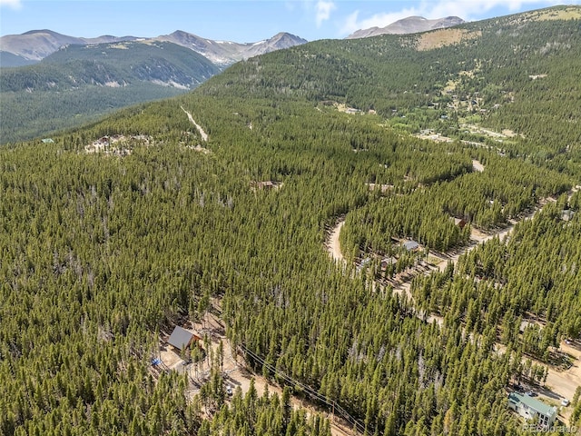 114 Elk Cir, Idaho Springs, CO 80452 - photo 13