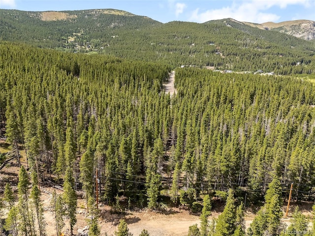 114 Elk Cir, Idaho Springs, CO 80452 - photo 14