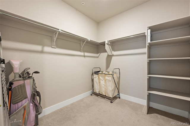 spacious closet featuring carpet floors