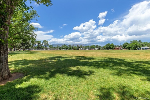 2309 Magellan St, Colorado Springs, CO 80907 - view of green lawn featuring a mountain view