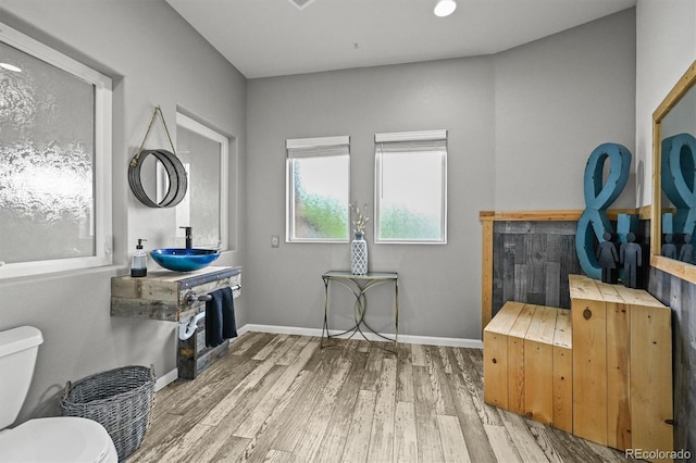 interior space featuring wood finished floors, a sink, toilet, and baseboards
