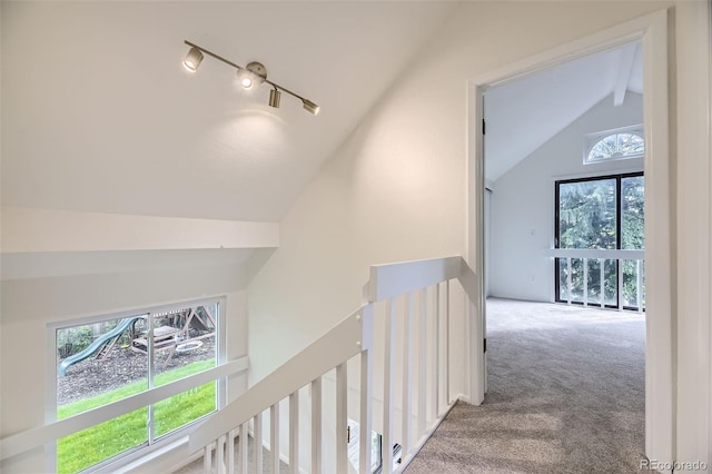 1304 Ceres Dr, Lafayette, CO 80026 - hallway featuring an upstairs landing and carpet