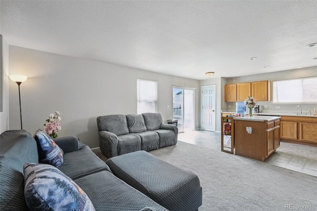 13802 Jasmine St, Thornton, CO 80602 - living area featuring light carpet