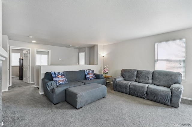 13802 Jasmine St, Thornton, CO 80602 - living room with carpet and attic access