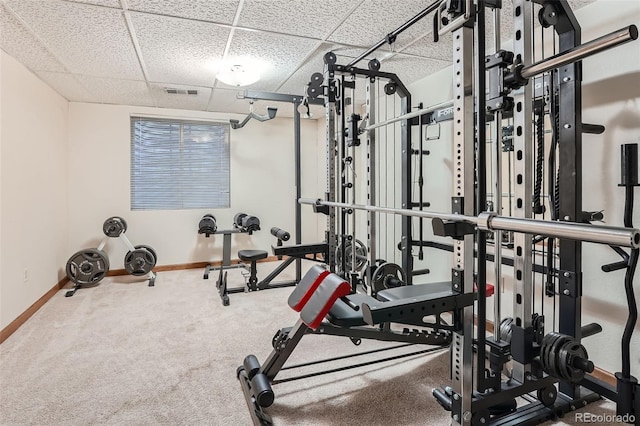 exercise room featuring a paneled ceiling and carpet