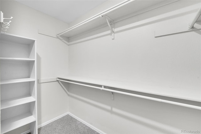 spacious closet with carpet floors