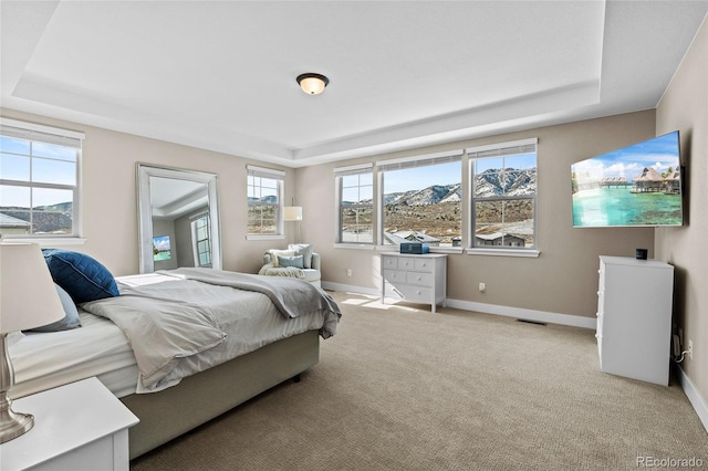 bedroom with light colored carpet and a raised ceiling