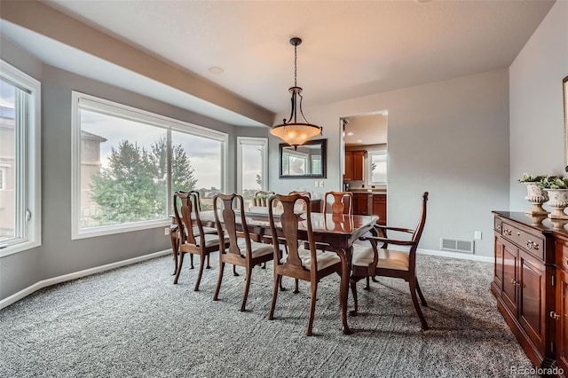 10244 Charissglen Cir, Highlands Ranch, CO 80126 - photo 7