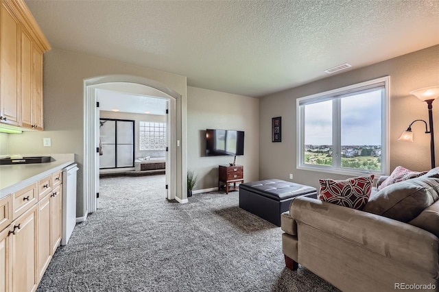 10244 Charissglen Cir, Highlands Ranch, CO 80126 - photo 18