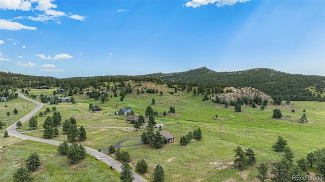 6880 Kilimanjaro Dr, Evergreen, CO 80439 - photo 33