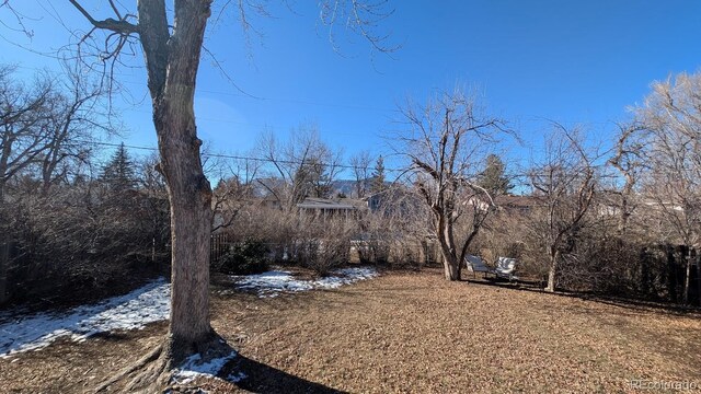 view of snowy yard