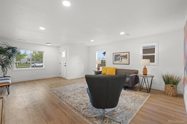 3025 Ivanhoe St, Denver, CO 80207 - living area with light wood finished floors and recessed lighting