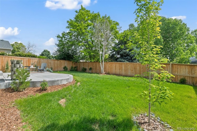 9698 Queenscliffe Dr, Highlands Ranch, CO 80130 - view of yard featuring a patio
