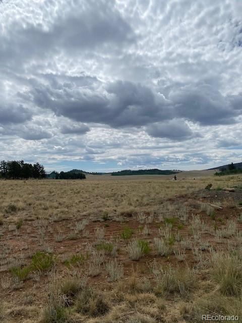 2538 Windmill Dr, Hartsel, CO 80449 - photo 2