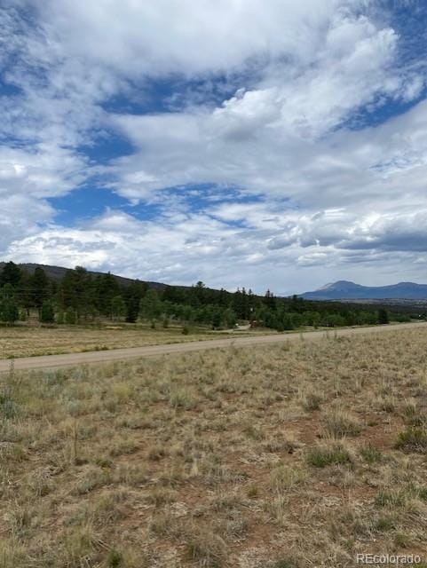 2538 Windmill Dr, Hartsel, CO 80449 - photo 3