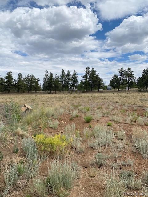 2538 Windmill Dr, Hartsel, CO 80449 - photo 4