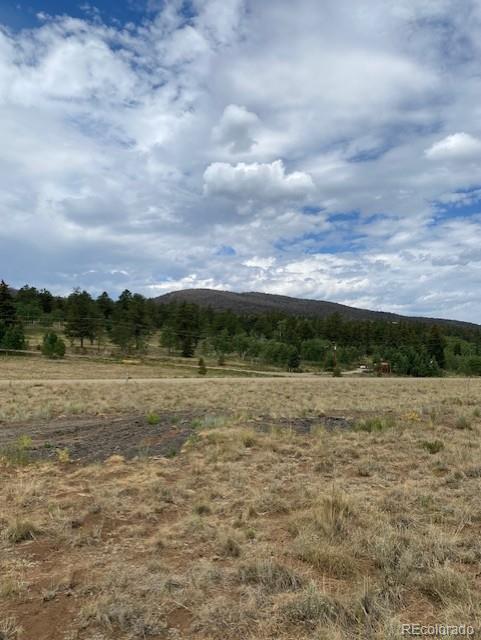 2538 Windmill Dr, Hartsel, CO 80449 - photo 5