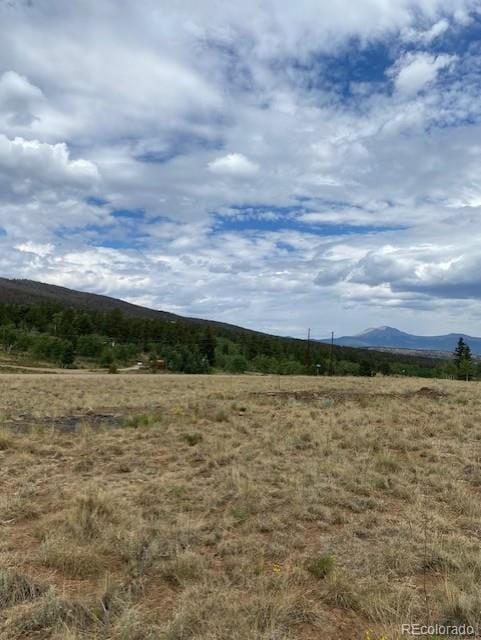 2538 Windmill Dr, Hartsel, CO 80449 - photo 7