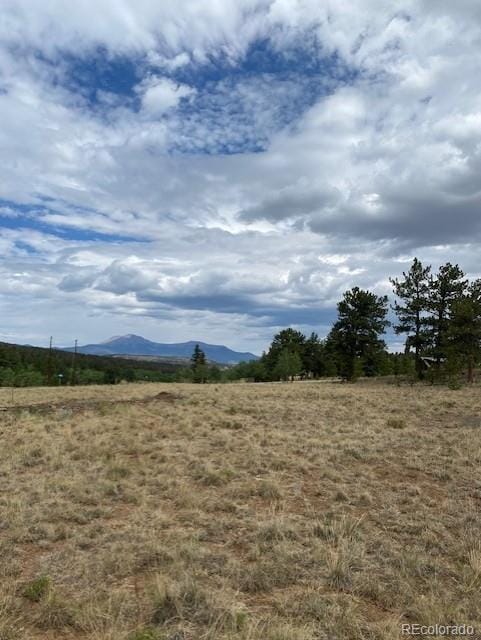2538 Windmill Dr, Hartsel, CO 80449 - photo 8