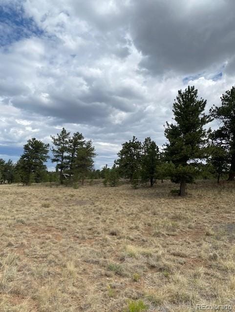 2538 Windmill Dr, Hartsel, CO 80449 - photo 9