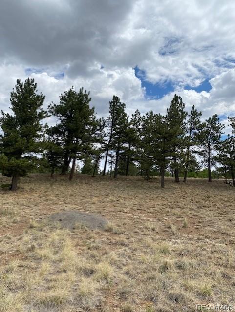 2538 Windmill Dr, Hartsel, CO 80449 - photo 10