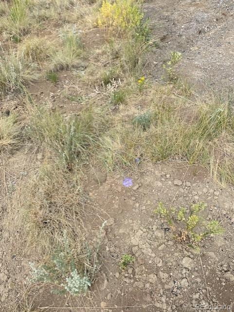 2538 Windmill Dr, Hartsel, CO 80449 - photo 12