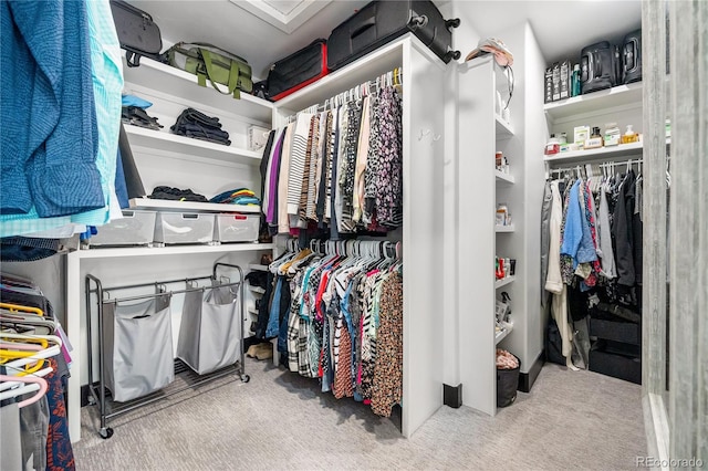 walk in closet featuring light colored carpet