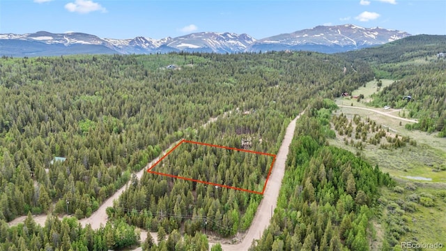 64 Ski Doo Rd, Fairplay, CO 80440 - photo 2