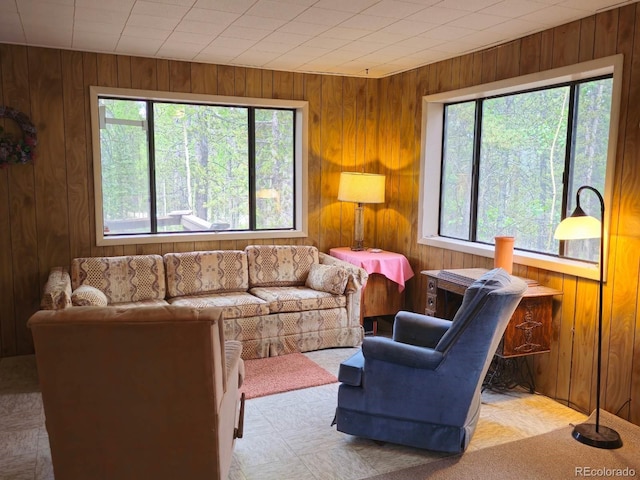 64 Ski Doo Rd, Fairplay, CO 80440 - photo 4