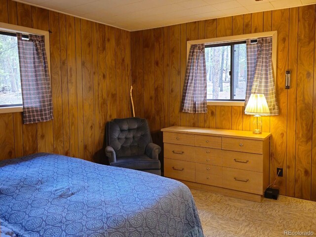 64 Ski Doo Rd, Fairplay, CO 80440 - photo 11