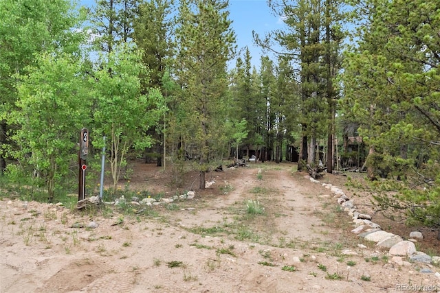 64 Ski Doo Rd, Fairplay, CO 80440 - photo 15