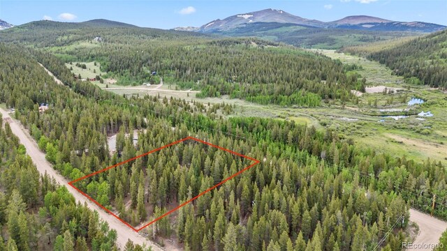 64 Ski Doo Rd, Fairplay, CO 80440 - photo 20