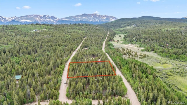 64 Ski Doo Rd, Fairplay, CO 80440 - photo 21
