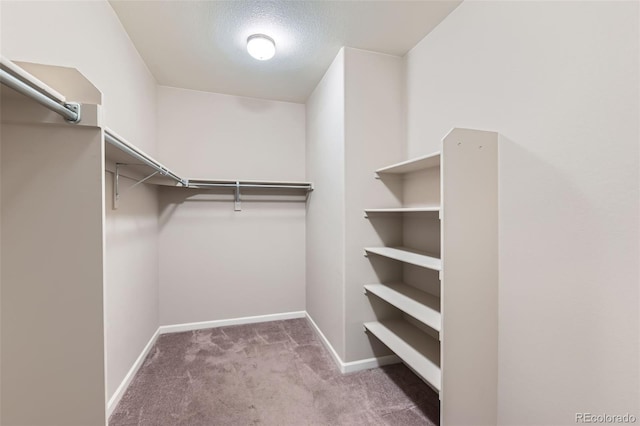 walk in closet featuring carpet flooring