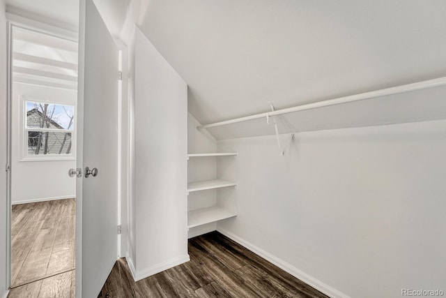 walk in closet featuring lofted ceiling and dark hardwood / wood-style floors