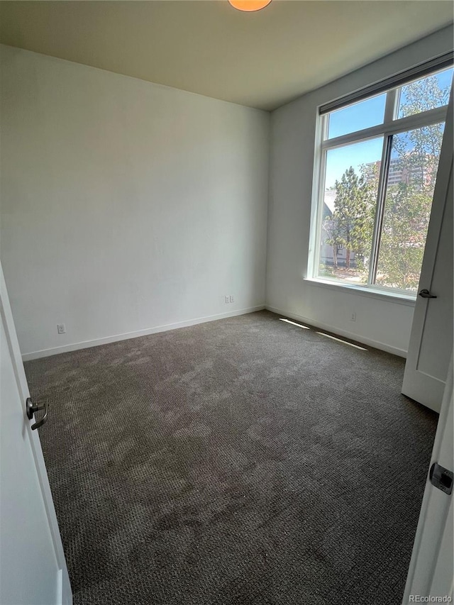 336 E 1st Ave Unit 200, Denver, CO 80203 - carpeted empty room with baseboards