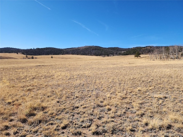 8802 Ranch Rd, Hartsel CO, 80449 land for sale