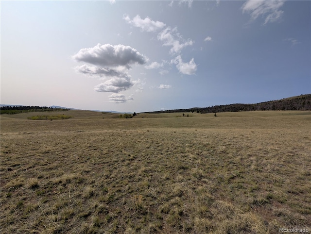 8802 Ranch Rd, Hartsel, CO 80449