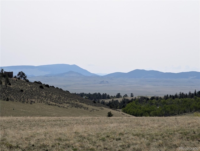8802 Ranch Rd, Hartsel, CO 80449