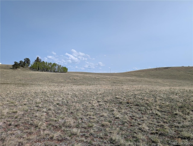 8802 Ranch Rd, Hartsel, CO 80449