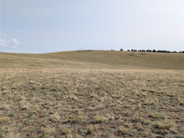 8802 Ranch Rd, Hartsel, CO 80449