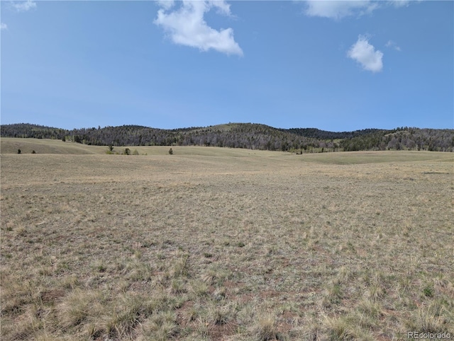 8802 Ranch Rd, Hartsel, CO 80449