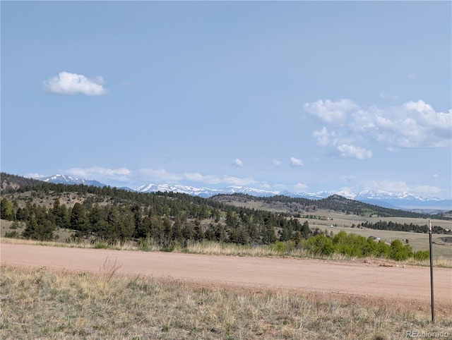 8802 Ranch Rd, Hartsel, CO 80449