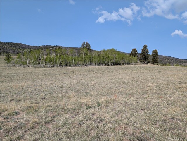 8802 Ranch Rd, Hartsel, CO 80449
