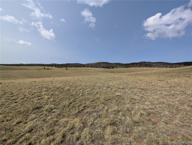 8802 Ranch Rd, Hartsel, CO 80449
