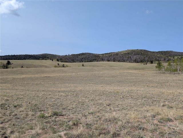 8802 Ranch Rd, Hartsel, CO 80449