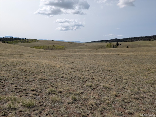 8802 Ranch Rd, Hartsel, CO 80449