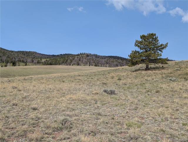 8802 Ranch Rd, Hartsel, CO 80449
