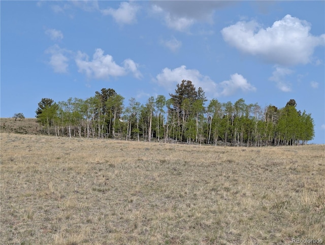 8802 Ranch Rd, Hartsel, CO 80449